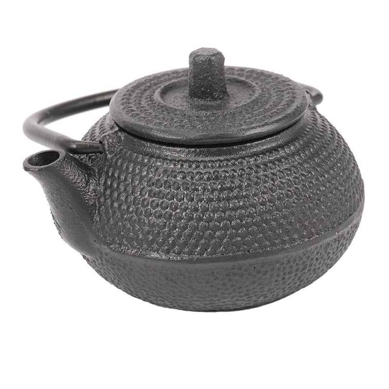 Japanese Cast Iron Teapot Set