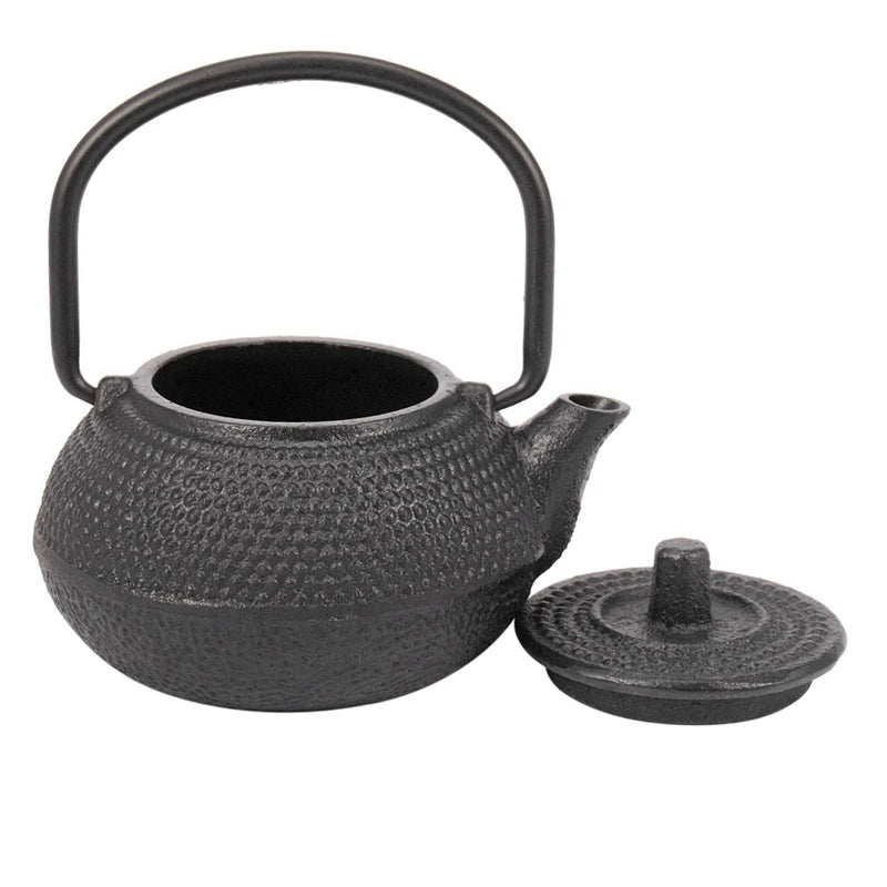 Japanese Cast Iron Teapot Set