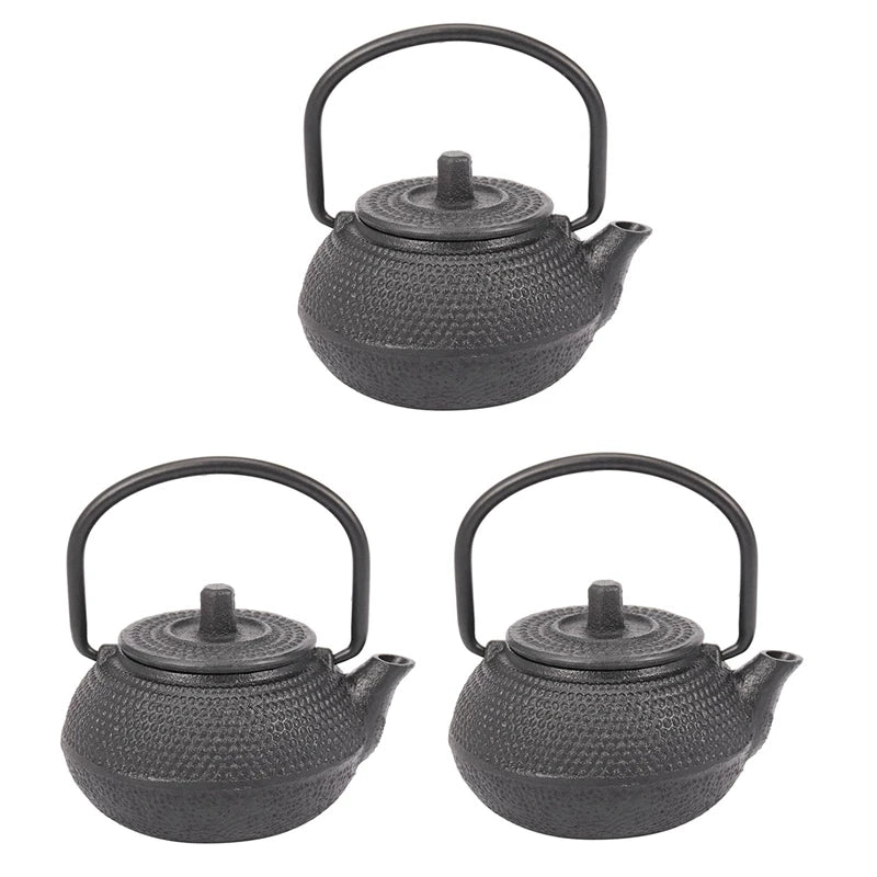 Japanese Cast Iron Teapot Set