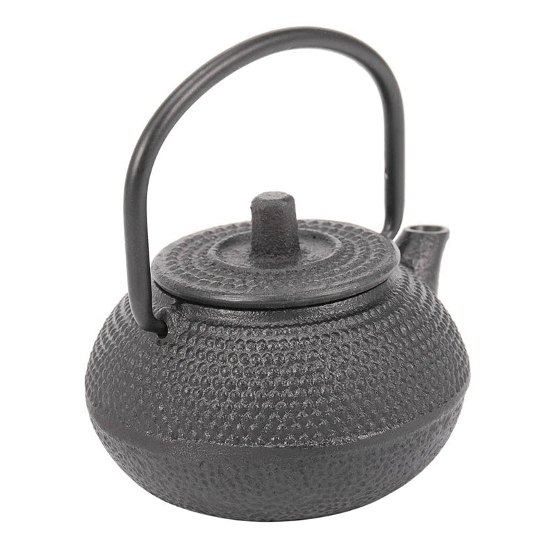 Japanese Cast Iron Teapot Set