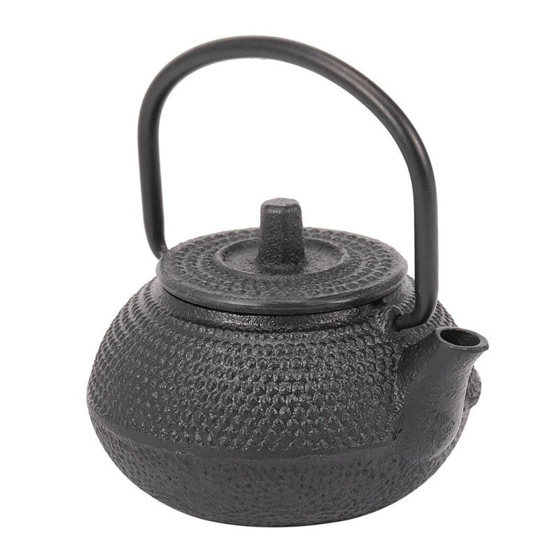 Japanese Cast Iron Teapot Set